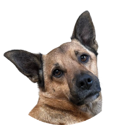 Hatschi